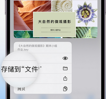 黄竹镇apple维修中心分享iPhone文件应用中存储和找到下载文件