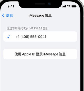 黄竹镇apple维修iPhone上无法正常发送iMessage信息 