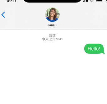 黄竹镇apple维修iPhone上无法正常发送iMessage信息