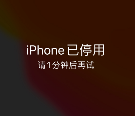 黄竹镇苹果手机维修分享:iPhone 显示“不可用”或“已停用”怎么办？还能保留数据吗？ 