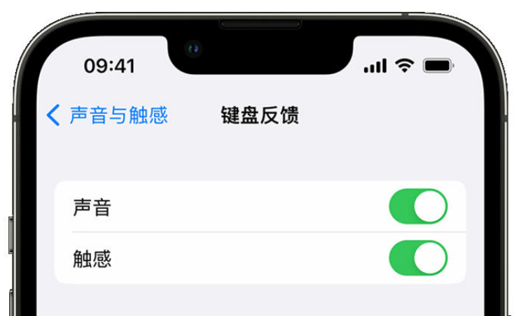 黄竹镇苹果手机维修分享iPhone 14触感键盘使用方法 