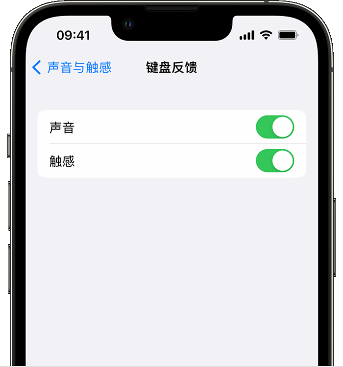 黄竹镇苹果14维修店分享如何在 iPhone 14 机型中使用触感键盘 