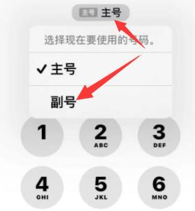 黄竹镇苹果14维修店分享iPhone 14 Pro Max使用副卡打电话的方法 