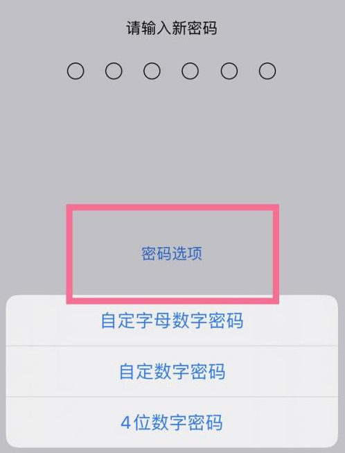 黄竹镇苹果14维修分享iPhone 14plus设置密码的方法 