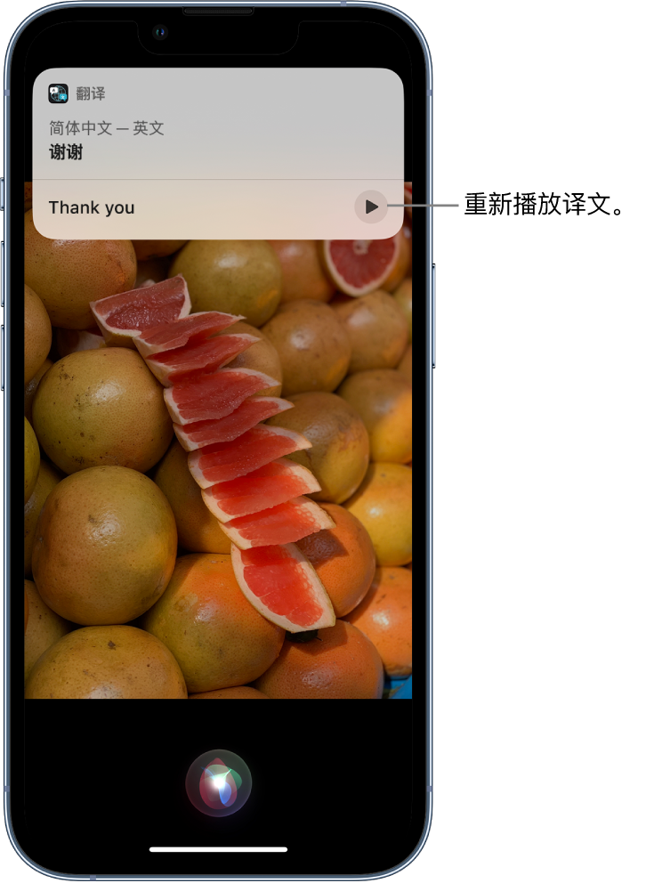 黄竹镇苹果14维修分享 iPhone 14 机型中使用 Siri：了解 Siri 能帮你做什么 