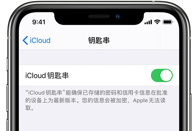 黄竹镇苹果手机维修分享在 iPhone 上开启 iCloud 钥匙串之后会储存哪些信息 